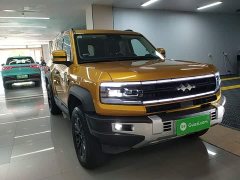 Fangchengbao Leopard 5 2023 Navigator Edition - ფოტო 3