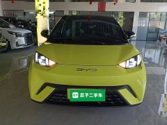 BYD Seagull 2023 Freedom Edition - ფოტო 2