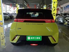 BYD Seagull 2023 Freedom Edition - ფოტო 5