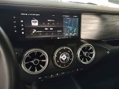 Tank 300 2.0T Challenger - ფოტო 12