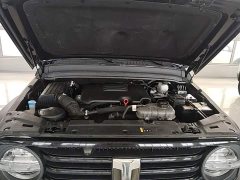 Tank 300 2.0T Challenger - ფოტო 19
