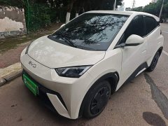 BYD Seagull 305km Vitality Edition - ფოტო 1