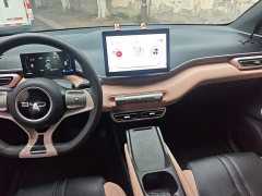 BYD Seagull 305km Vitality Edition - ფოტო 12