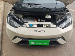 BYD Seagull 305km Vitality Edition - ფოტო 19