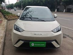 BYD Seagull 305km Vitality Edition - ფოტო 2