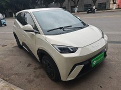 BYD Seagull 305km Vitality Edition - ფოტო 3