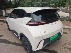 BYD Seagull 305km Vitality Edition - ფოტო 4