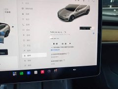 Tesla Model 3 Standard Range RWD Upgrade - ფოტო 11