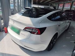 Tesla Model 3 Standard Range RWD Upgrade - ფოტო 6