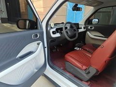 Geely Panda Mini 210km Vitality Edition - ფოტო 15