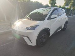 BYD Seagull Glory Edition 305km Vitality Version - ფოტო 1