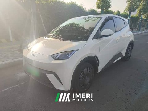 2024 BYD Seagull Glory Edition 305km Vitality Version - ავტომობილი ჩინეთიდან