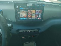 BYD Seagull Glory Edition 305km Vitality Version - ფოტო 12