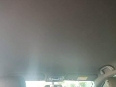 BYD Seagull Glory Edition 305km Vitality Version - ფოტო 17
