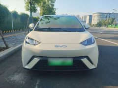 BYD Seagull Glory Edition 305km Vitality Version - ფოტო 2