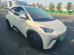 BYD Seagull Glory Edition 305km Vitality Version - ფოტო 3