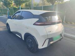 BYD Seagull Glory Edition 305km Vitality Version - ფოტო 4