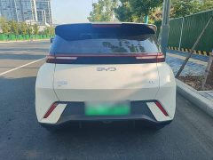 BYD Seagull Glory Edition 305km Vitality Version - ფოტო 5