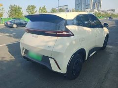 BYD Seagull Glory Edition 305km Vitality Version - ფოტო 6