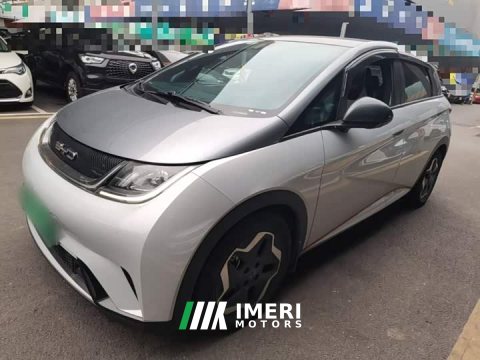2022 BYD Dolphin 405km Fashion Edition - ავტომობილი ჩინეთიდან