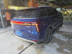 Nissan Raize 2020 260T Auto 48V Mild Hybrid Turbo Starlight Edition - ფოტო 6