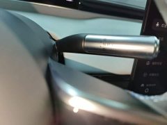 Luxeed Zhiji S7 Max - ფოტო 13