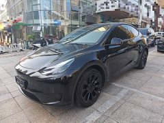Tesla Model Y Rear-Wheel Drive - ფოტო 1