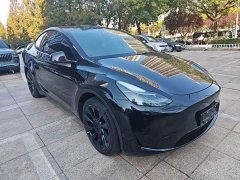 Tesla Model Y Rear-Wheel Drive - ფოტო 3