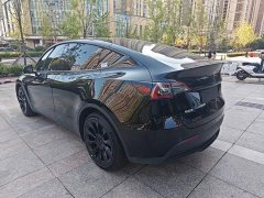 Tesla Model Y Rear-Wheel Drive - ფოტო 4
