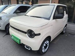 Geely Panda Mini 210km Vitality Edition - ფოტო 1