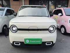 Geely Panda Mini 210km Vitality Edition - ფოტო 2
