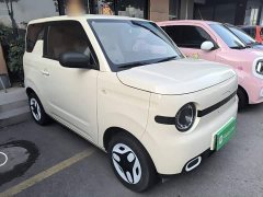 Geely Panda Mini 210km Vitality Edition - ფოტო 3