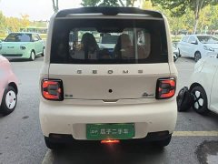 Geely Panda Mini 210km Vitality Edition - ფოტო 5