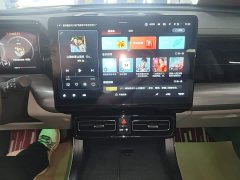 GAC Aion GS8 Dual Engine 2.0T M Two-Wheel Drive Luxury Edition (7-Seater) - ფოტო 12