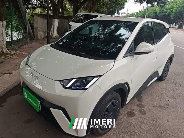 BYD Seagull 305km Vitality Edition