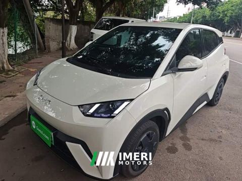 2025 BYD Seagull 305km Vitality Edition