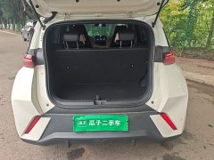 BYD Seagull 305km Vitality Edition - ფოტო 18