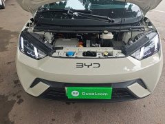 BYD Seagull 305km Vitality Edition - ფოტო 19