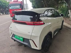 BYD Seagull 305km Vitality Edition - ფოტო 6
