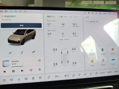 Li Auto L8 Pro - ფოტო 11