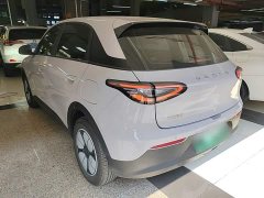 Geely Star Wish 410km Freedom Edition - ფოტო 4