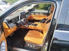 Tank 500 New Energy Hi4-T Smart Comfort Edition - ფოტო 19