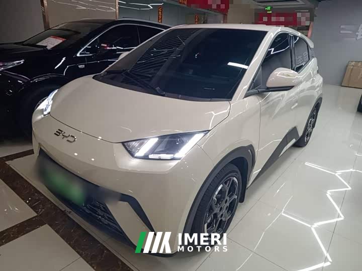 BYD Seagull 305km Freedom Edition - ავტომობილი ჩინეთიდან