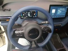 BYD Seagull 305km Freedom Edition - ფოტო 10