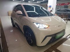 BYD Seagull 305km Freedom Edition - ფოტო 3