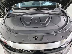 BYD Song Plus New Energy 2021 EV Premium - ფოტო 19
