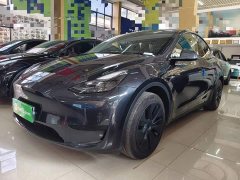 Tesla Model Y Rear-Wheel Drive - ფოტო 1