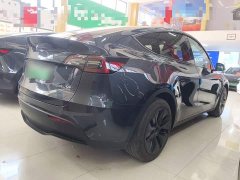 Tesla Model Y Rear-Wheel Drive - ფოტო 6