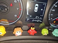 Geely Emgrand X3 PRO 1.5L CVT Luxury - ფოტო 16