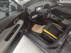 Trumpchi Leopard 2021 270T DCT J16 - ფოტო 15